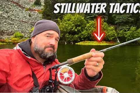 MASTER Trout Fishing in Lakes with These Proven Tips!