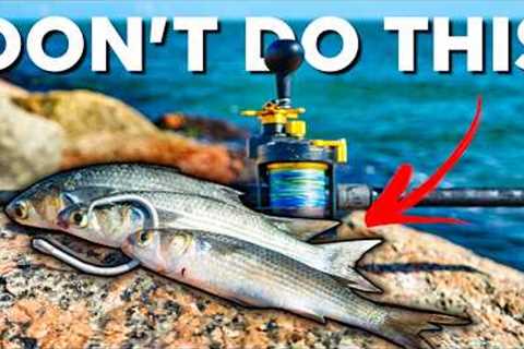 Do Not Go Jetty Fishing without Knowing THIS First - Cut Bait Fishing DEEP