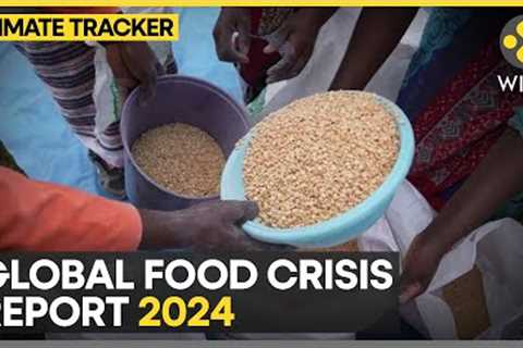 Global Food Crisis 2024 report: 1 in 5 people in need of urgent action | WION Climate Tracker