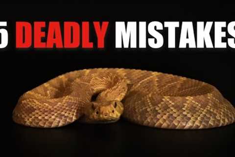 FIVE MISTAKES Venomous Snake Keepers Make