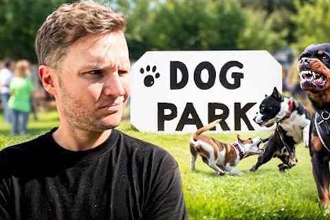 5 Major reasons why dog parks are dangerous- Dog Training Tips
