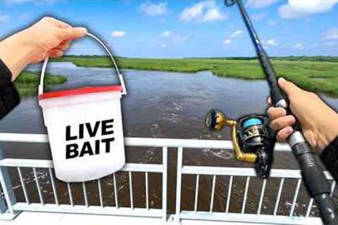 Eating Whatever I Catch.. Fishing a NEW Bridge (Catch and Cook)