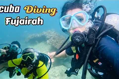 Scuba Diving in Fujairah Dibba Rock || Adventure Vlog || PARADISE BLUE DIVINGCENTER