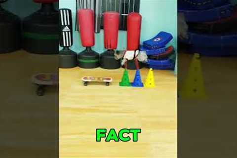 Excellent training of the smart puppy