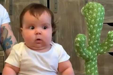 Funniest Baby Videos of the Week - Try Not To Laugh