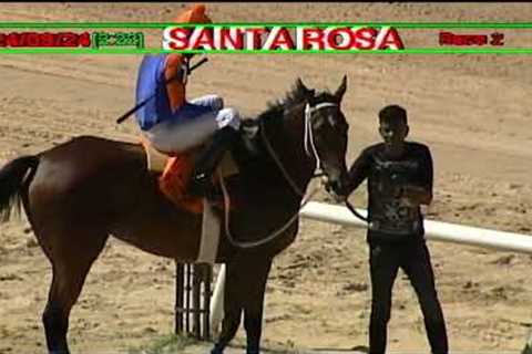 Arima Race Club - Day 10 September 24th 2024 Race-2