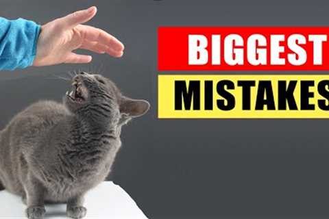 20 Common Mistakes Cat Owners Make