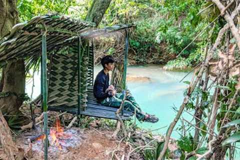 3 Days solo survival CAMPING by the Stream. Primitive Fish Trap, Cooking. Bushcraft Survival Shelter