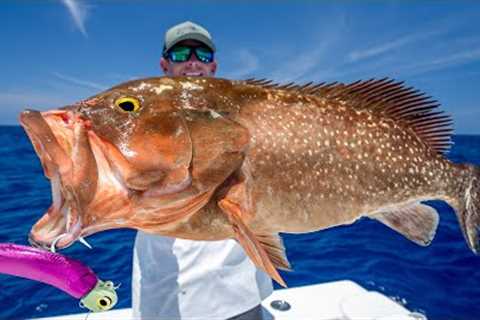 GIANT Deep Sea Grouper... Catch Clean Cook