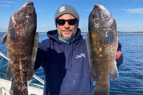 LIGHTS OUT Tautog (Blackfish) Fishing | Entire Fish Catch Clean Cook