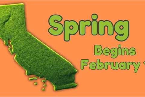 California Breaks All The Spring Lawn Care Rules