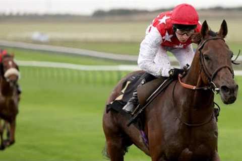 Wow! Al Nayyir looks a stayer going places after this incredibly easy Newmarket win!
