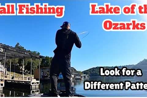 Lake of the Ozarks (Fall Fishing/Tournament Strategy)