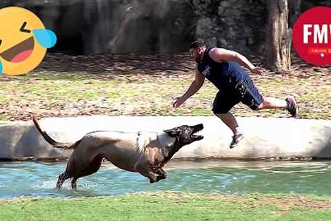 Funny &amp; Hilarious People's Life 😂 #172 - Try not to Laugh | Best Funny Videos Compilation 2024