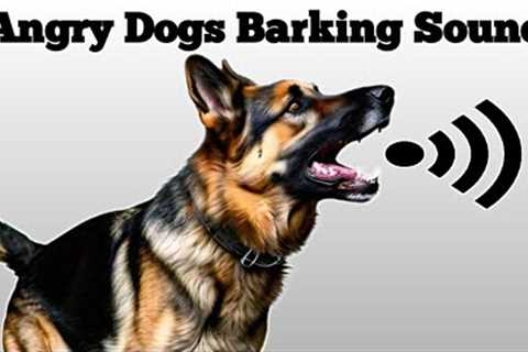 Dog Sound | Dog Barking | Dog Voice | Kutte Ki Bhaunkne Ki Awaaz