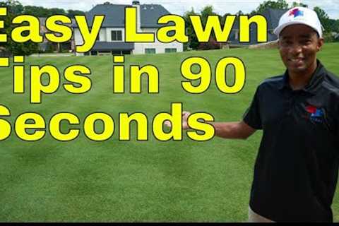 How to GET GREEN GRASS - EASY Lawn Care TIPS For BEGINNERS