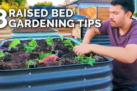 8 Of My BEST Raised Bed Gardening Tips
