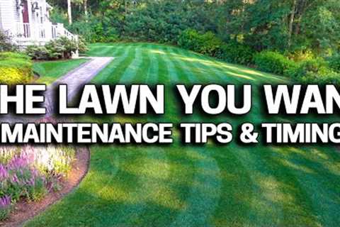 My Lawn Care Schedule - What I do, When