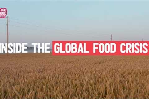 Will there be a global food shortage?