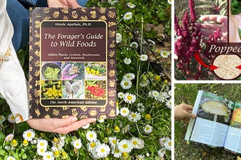The Forager’s Guide To Wild Foods