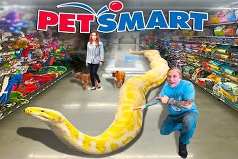 TAKING MY GIANT SNAKE TO PETSMART!