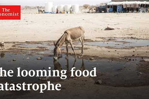 The global food crisis, explained