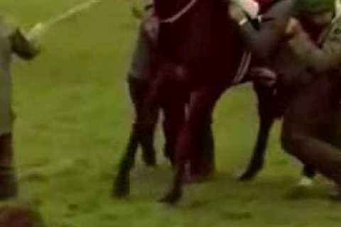 Funny Horse Racing Bloopers Compilation