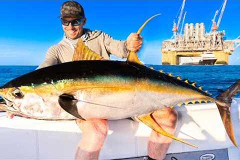 Monster Tuna Under Oil Rig! Catch, Clean &amp; Cook!