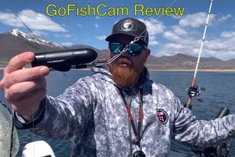 GoFishCam Underwater Camera Review