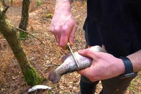 How to Cook a Fish Outdoors