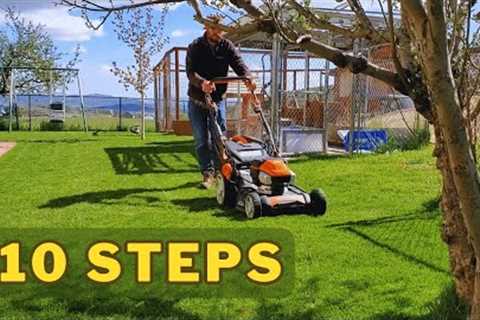 All 10 Spring Lawn Care Steps // In Order