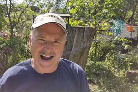 Retired and Bored? 68 hobbies right here, right now!