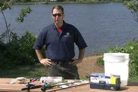 Fishing Basics: How to Get Started