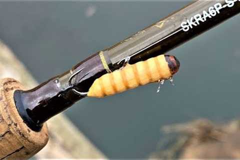 Wax Worm | One Day Build to Catch Micro Fishing
