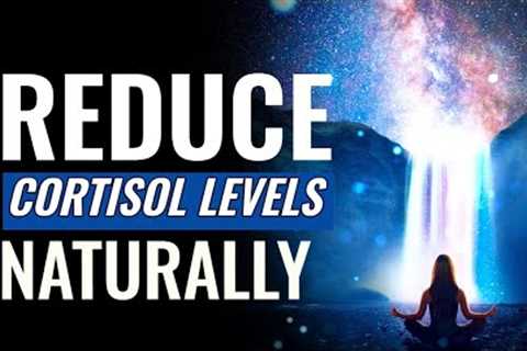 Reduce Cortisol Levels Naturally | Stress Reduction Music Therapy | Brain Calming Sound Vibrations