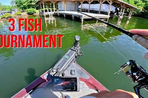 Bass Fishing Tournament on a weekday?! Lake Anna Virginia