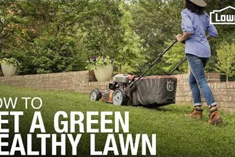 Lawn Care 101: How to Weed, Seed, Feed, Mow, &amp; Water