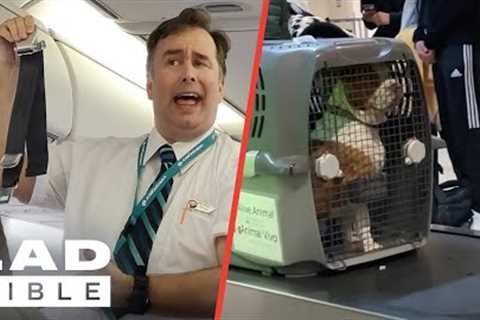 Funniest Travel Moments 😂 ✈️ | LADbible