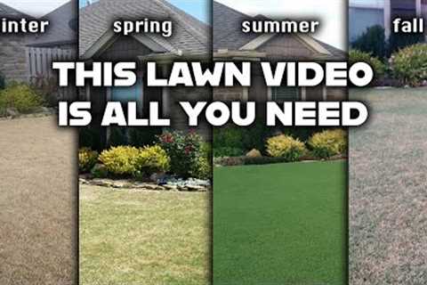 A Beginner's Yearly Lawn Care Guide to Improving or Maintaining a Beautiful, Green Bermudagrass Lawn
