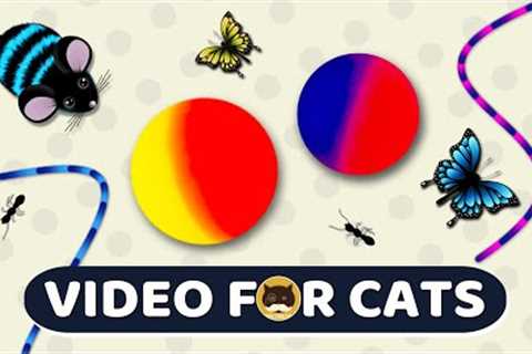 CAT GAMES - Catch the Rolling Ball, Mice, Ants, Strings, Butterflies | Video for Cats | CAT &amp;..