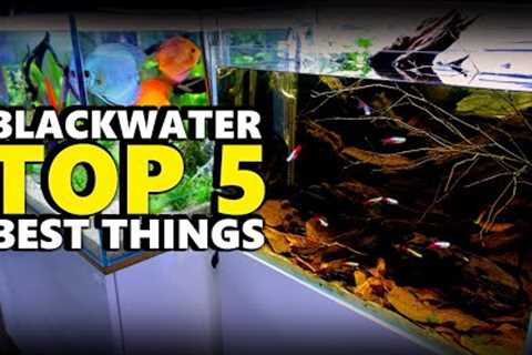 Blackwater Aquarium!! Top 5 Things | MD Fish Tanks