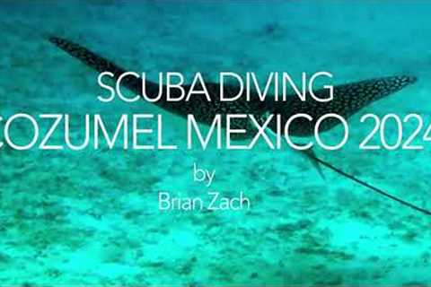 Scuba Diving Cozumel Mexico 2024