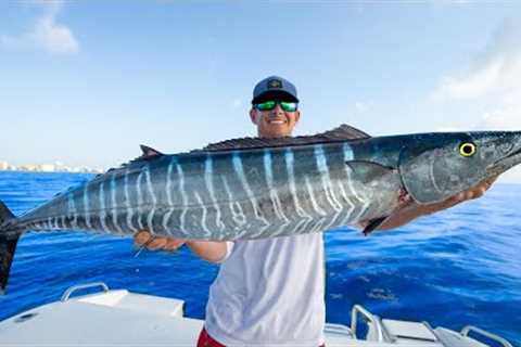 Most PRIZED Deep Sea Fish! Catch Clean Cook Wahoo