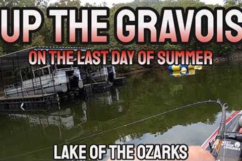 Fall Bass Fishing | Lake of the Ozarks | Up the Gravois