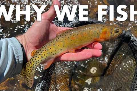 THIS Is the Key to Finding Good Creeks to Fish! (Tenkara Fly Fishing)