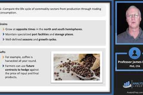 Introduction to Commodities and Commodity Derivatives (2024 Level II CFA® Exam – Alternative –LM 1)