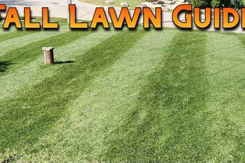 Complete Fall Lawn Care Guide