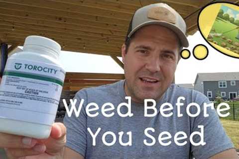 Fall Lawn Revival: Killing Crabgrass &amp; Prepping for Renovation