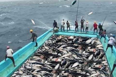 Amazing Fast Tuna Fishing Skill, Catching Fish Big  on The Sea