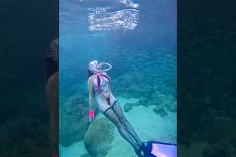 * Cronch * 📷: @ariaomo #underwater #bubblering #freediver #freediving